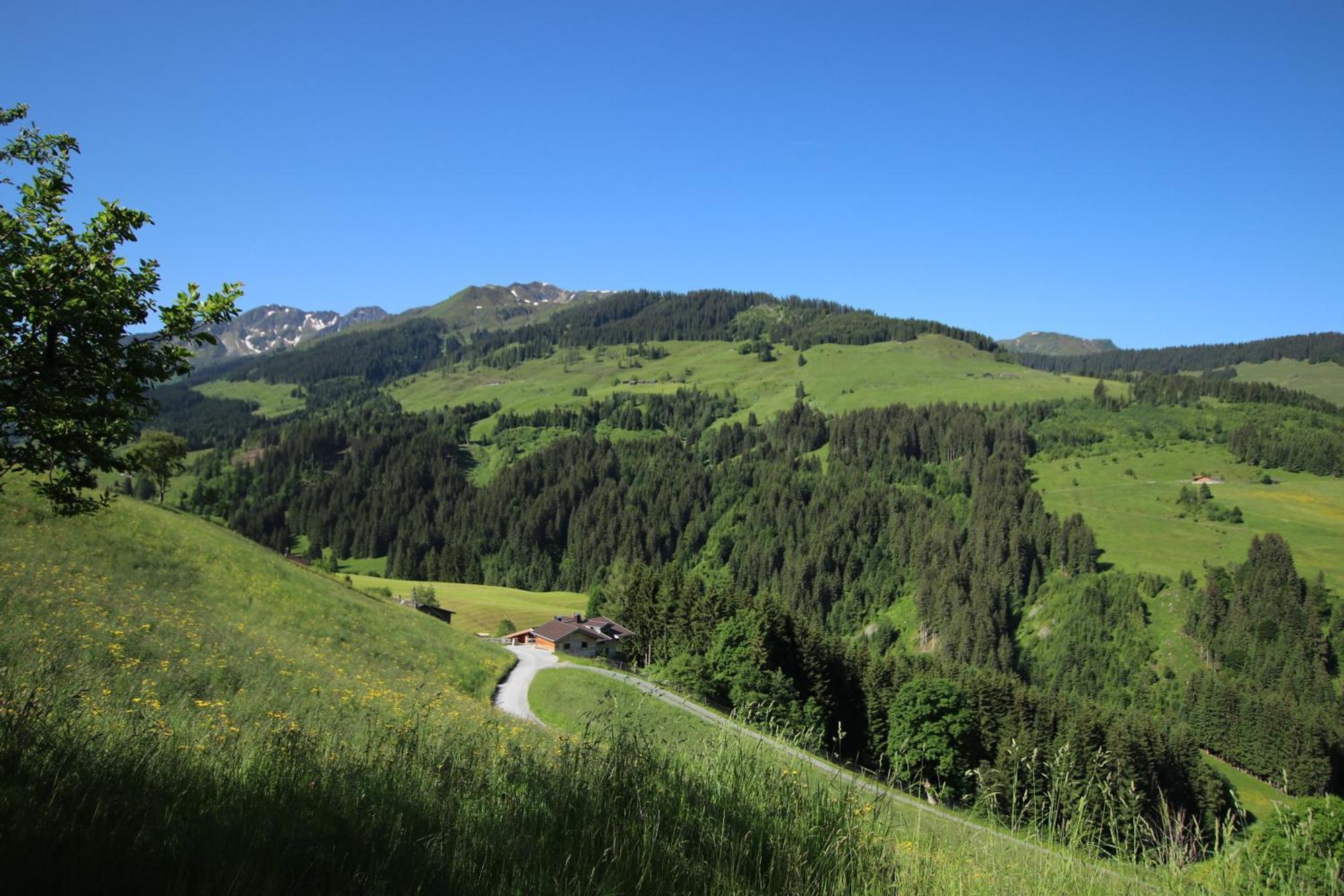 Ferienwohnung Bergpanorama Wild600 Schwarzenau  Extérieur photo